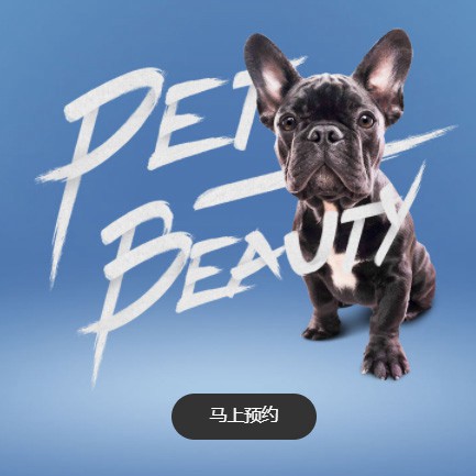 神木宠物中心小程序开发